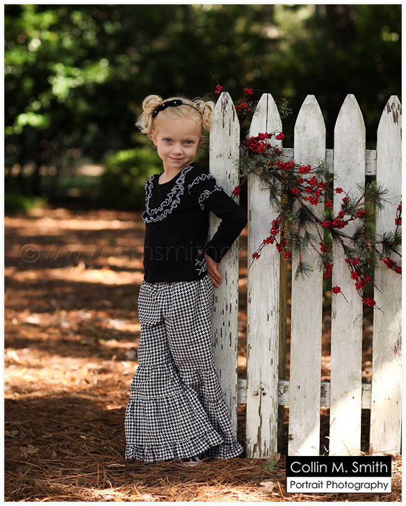 2011ChristmasSets_00038fb